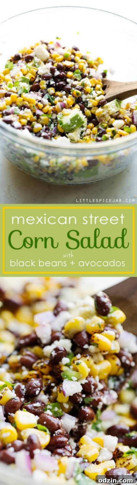 Mexican Street Corn Salad - The perfect summer corn salad with lots of fresh ingredients tossed in a light homemade dressing! #vegetarian #cornsalad #mexicanstreetcorn #streetcornsalad | Littlespicejar.com Mexican Street Corn Salad - Full Spread