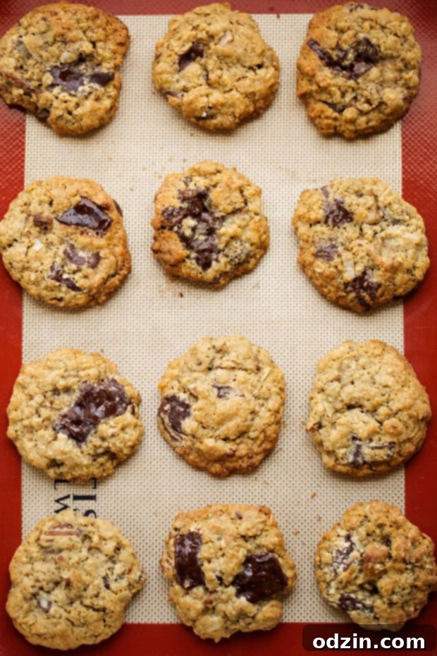 Loaded Dark Chocolate Chip Oatmeal Cookies - Texture and Ingredients Close-up of a loaded dark chocolate chip oatmeal cookie, showing melted chocolate and oats