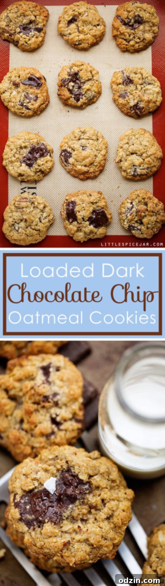 Serve and Enjoy: Loaded Dark Chocolate Chip Oatmeal Cookies Finished plate of loaded dark chocolate chip oatmeal cookies