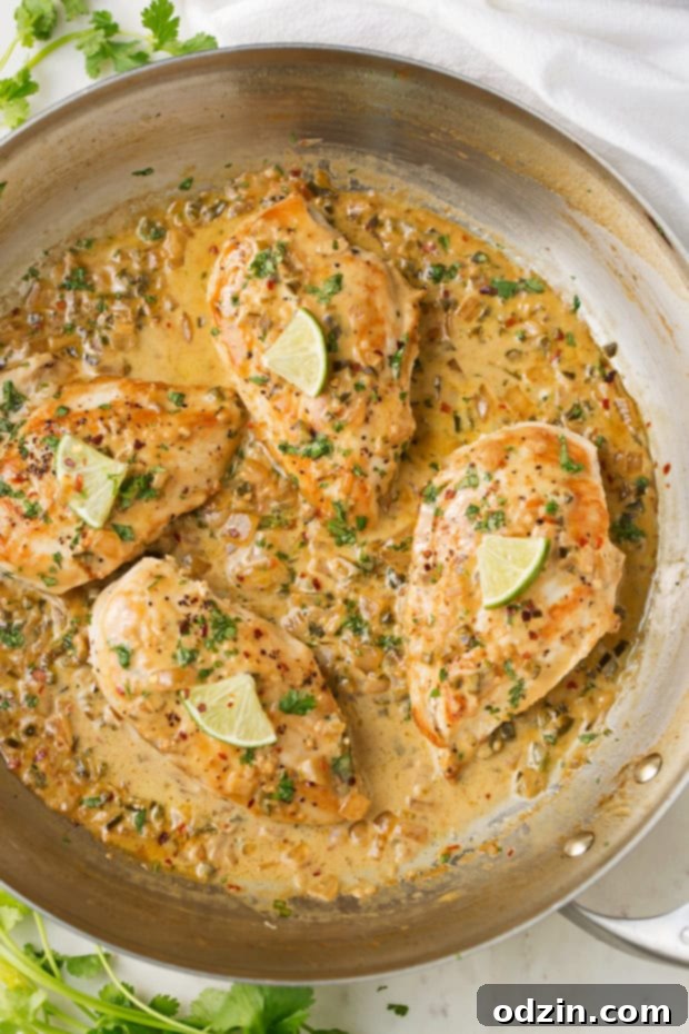 One Skillet Chicken with Fiesta Cream Sauce - a simple, 30 minutes, one skillet recipe topped with a cilantro, lime, jalapeño, and garlic flavored sauce. #oneskilletchicken #skilletchicken #chickendinner | Littlespicejar.com Top-down view of One Skillet Chicken with Fiesta Cream Sauce in a rustic cast iron skillet, showcasing the rich sauce and garnished chicken. This easy, 30-minute skillet chicken recipe is topped with a cilantro, lime, jalapeño, and garlic flavored sauce, making it a perfect quick dinner. #oneskilletchicken #skilletchicken #chickendinner #fiestacream