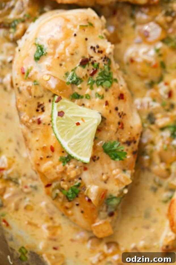 Delicious One Skillet Chicken with Fiesta Cream Sauce, served hot from the pan.