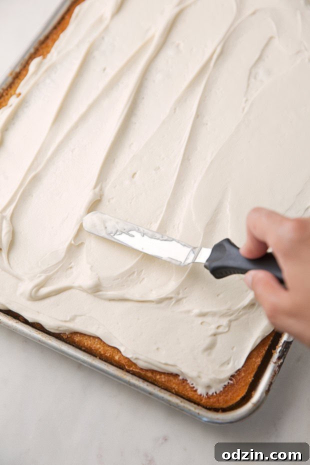 Texas-sized vanilla sheet cake with cream cheese frosting - a simple vanilla sheet cake with a sweet and tangy frosting! So good and feeds a crowd! #creamcheesefrosting #vanillasheetcake #texassheetcake #sheetcake | Littlespicejar.com Texas-sized vanilla sheet cake with cream cheese frosting - a simple vanilla sheet cake with a sweet and tangy frosting! So good and feeds a crowd! #creamcheesefrosting #vanillasheetcake #texassheetcake #sheetcake | Littlespicejar.com