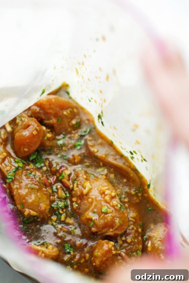 Thai Chicken Satay with Peanut Dipping Sauce - an easy appetizer or a main meal! Serve it with my peanut dipping sauce and everyone is going to love this CHICKEN ON A STICK! #chickensatay #peanutdippingsauce #thaichicken #thaifood | Littlespicejar.com marinated chicken in zippable bag