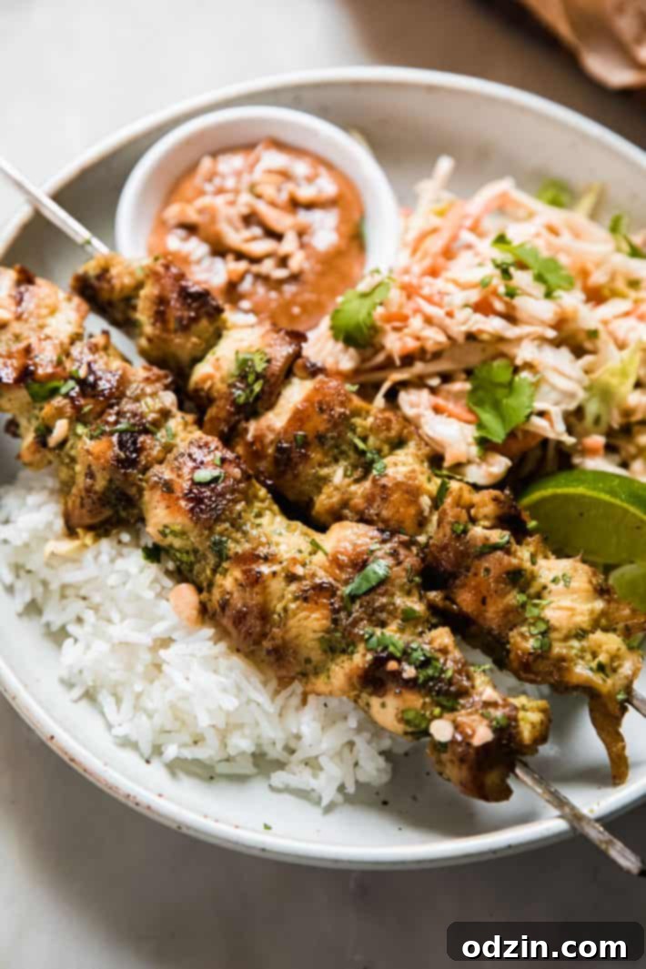 Succulent Chicken Satay with Velvety Peanut Sauce 5 chicken satay over rice with peanut lime slaw