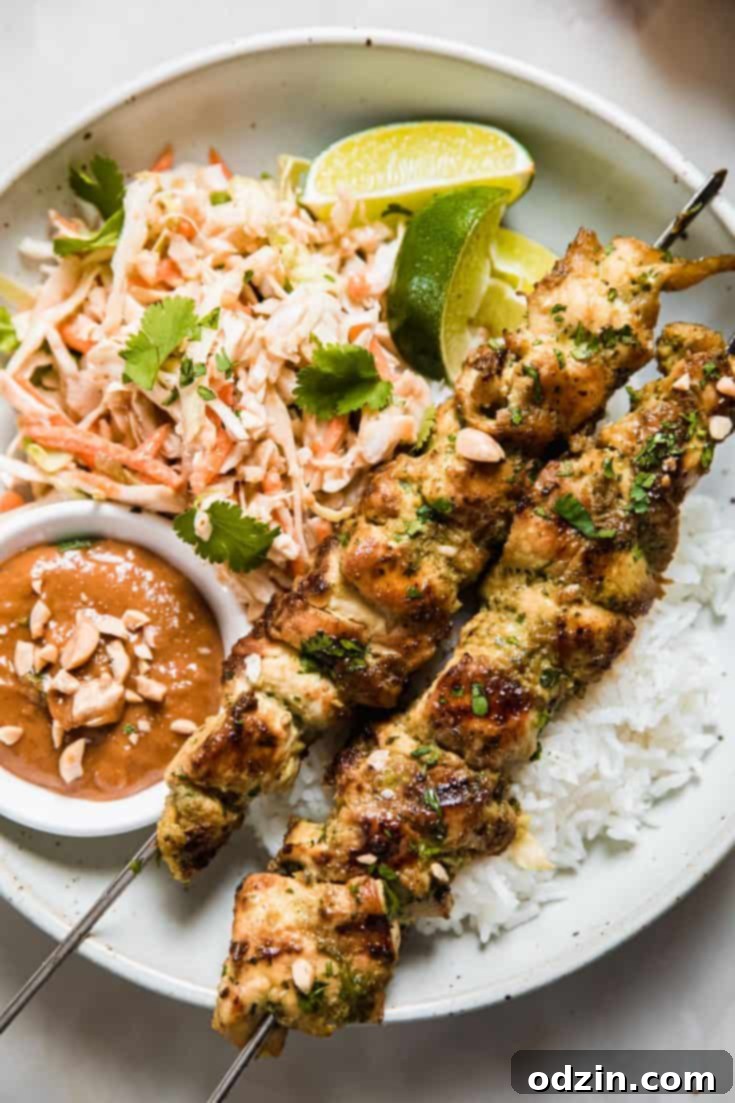 Chicken Satay with Peanut Dipping Sauce