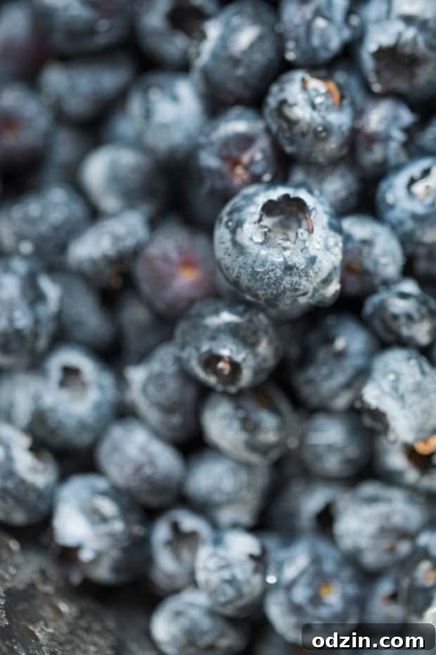 Perfect Blueberry Peach Crisp - A super summery dessert topped with a pecan and oat crumble #blueberrycrisp #peachcrisp #blueberrycrumble #peachcrumble | Littlespicejar.com Close-up of the bubbling blueberry and peach filling peeking through the golden, crunchy crumble topping of the crisp.