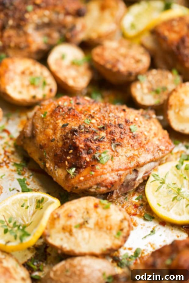 One Sheet Pan Roasted Za'atar Chicken with Potatoes - A delicious one-pan dinner featuring juicy za'atar crusted chicken and perfectly crispy baby potatoes. This easy weeknight meal is ready in just 45 minutes with only 6 simple ingredients. #roastedchicken #chickenandpotatoes #onesheetpandinner #chickenandveggies | Littlespicejar.com