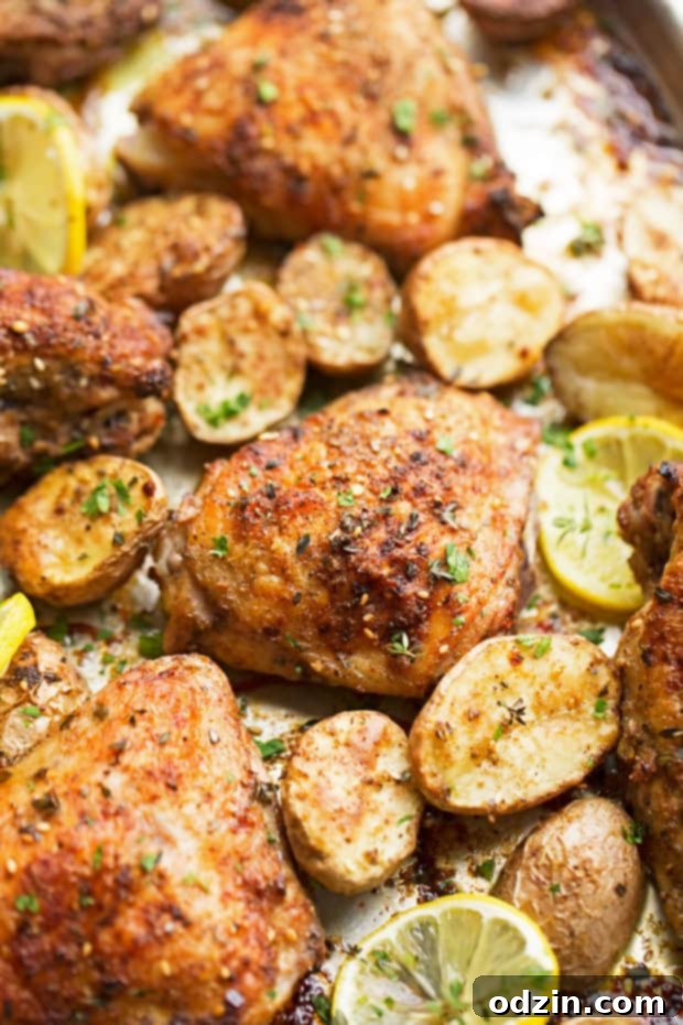 One Sheet Pan Roasted Za'atar Chicken with Potatoes - This easy one-pan dinner features roasted za'atar chicken and crispy baby potatoes, made with just 6 simple ingredients for a delicious and hassle-free meal. #roastedchicken #chickenandpotatoes #onesheetpandinner #chickenandveggies | Littlespicejar.com