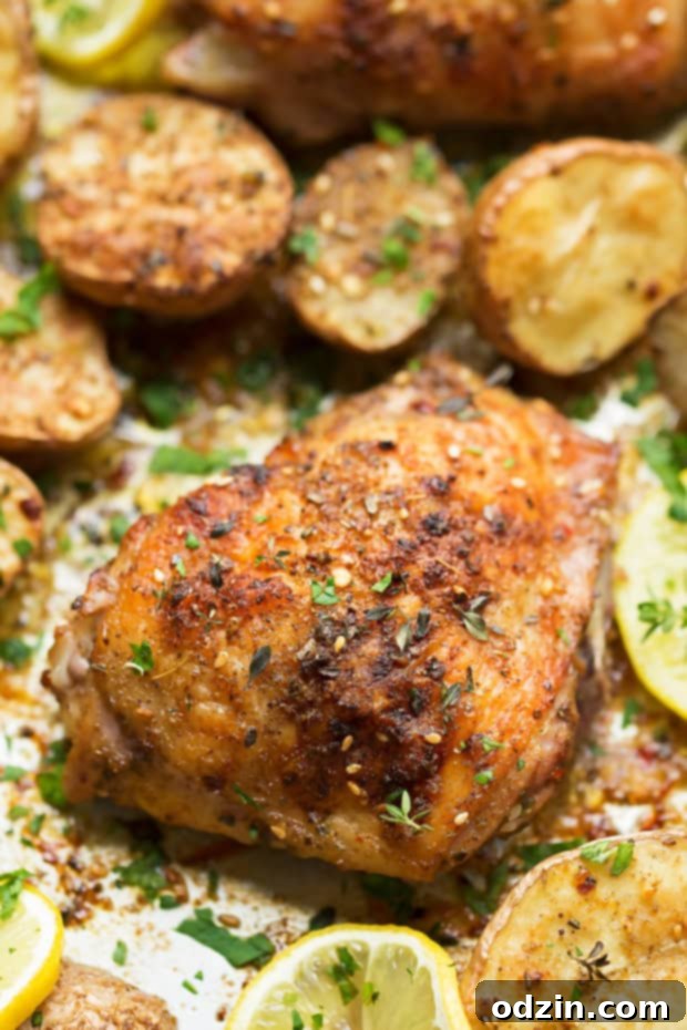 One Sheet Pan Roasted Za'atar Chicken with Potatoes - A delicious and easy one-pan dinner recipe featuring tender za'atar chicken and crispy baby potatoes, perfect for any night of the week. #roastedchicken #chickenandpotatoes #onesheetpandinner #chickenandveggies | Littlespicejar.com