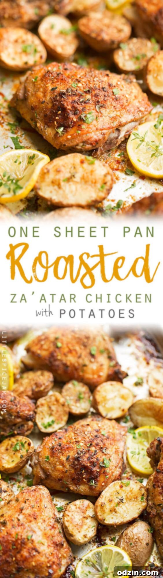 One Sheet Pan Roasted Za'atar Chicken with Potatoes - One sheet pan dinner recipe with roasted za'atar chicken and crispy baby potatoes. This chicken dinner has just 6 simple ingredients and is made in one pot! #roastedchicken #chickenandpotatoes #onesheetpandinner #chickenandveggies | Littlespicejar.com One Sheet Pan Roasted Za'atar Chicken with Potatoes - A full spread of the delicious one-pan roasted za'atar chicken and potatoes dinner, garnished and ready to serve. #roastedchicken #chickenandpotatoes #onesheetpandinner #chickenandveggies | Littlespicejar.com