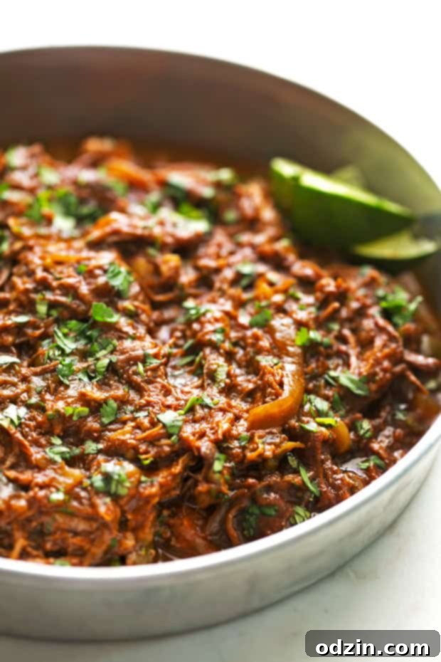 Melt-in-Your-Mouth Cuban Ropa Vieja 5 Metal baking dish filled with prepared shredded beef, generously topped with fresh chopped cilantro and ready to serve.