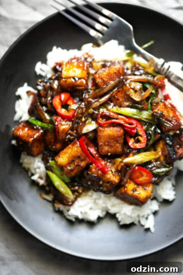 Black Pepper Tofu Stir Fry Sauce - Closeup of the rich, dark, and glossy black pepper sauce coating crispy tofu. A delicious and easy vegan recipe. #veganstirfry #stirfry #blackpeppertofu #tofu