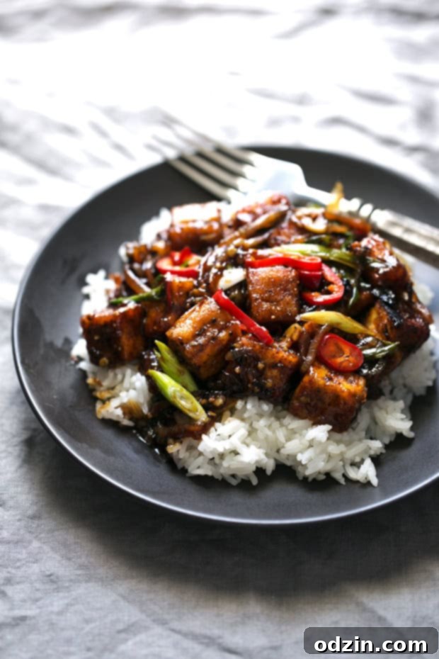 Black Pepper Tofu Stir Fry Recipe - Final plated dish of black pepper tofu stir fry with rice and scallions. A vibrant and delicious vegan meal.