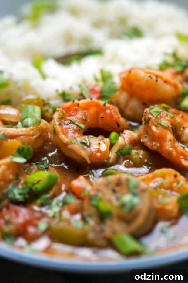 New Orleans Shrimp and Sausage Gumbo 2 gumbo with white rice in blue rimmed plate