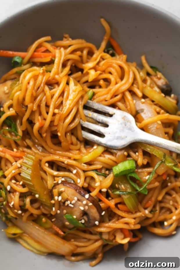 Clean the Fridge Lo Mein - A flexible and easy lo mein recipe that uses up all your forgotten veggies and proteins, creating a healthy and quick homemade takeout-style dish. #lomein #takeoutfood #leftovermakeover #homemadelomein #noodlelove Clean the Fridge Lo Mein - A flexible and easy lo mein recipe that uses up all your forgotten veggies and proteins, creating a healthy and quick homemade takeout-style dish. #lomein #takeoutfood #leftovermakeover #homemadelomein #noodlelove