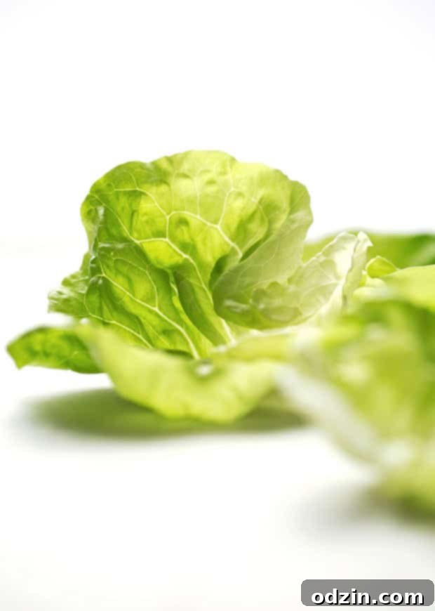 Orange Chicken Lettuce Wraps - orange chicken flavored filling in these protein packed lettuce wraps! Healthy, easy AND delicious! #mealprep #lettucewraps #orangechicken | Littlespicejar.com