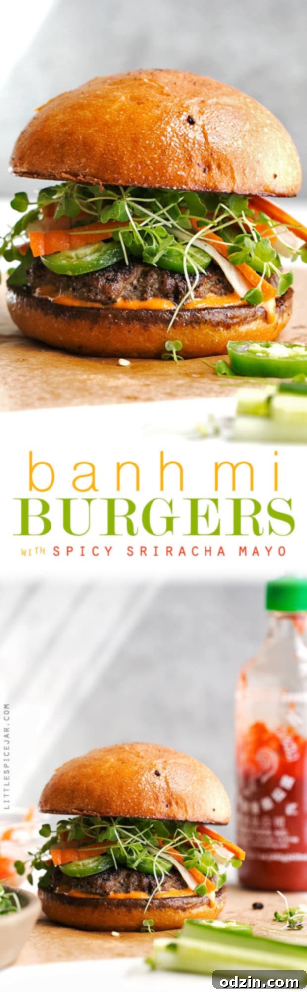 A top-down view of a beautifully prepared Banh Mi Burger, showcasing all its delicious layers and vibrant ingredients.