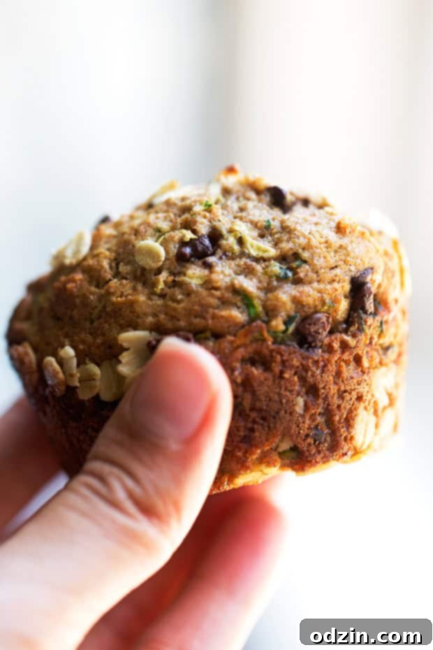 Healthy Zucchini Muffins with Chocolate Chips - A close-up of a moist, chocolatey muffin with wholesome ingredients.
