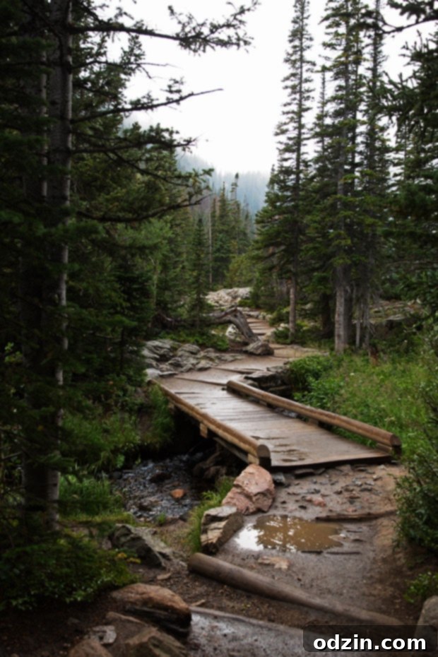 Colorado Trip - A slice of life post sharing all of our favorite spots from our trip to Colorado! #denver #vail #rockymountainnationalpark #redrocks | Littlespicejar.com Colorado Trip - A slice of life post sharing all of our favorite spots from our trip to Colorado! #denver #vail #rockymountainnationalpark #redrocks | Littlespicejar.com