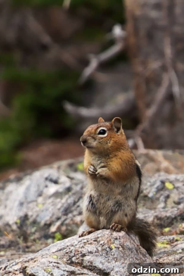 Colorado Trip - A slice of life post sharing all of our favorite spots from our trip to Colorado! #denver #vail #rockymountainnationalpark #redrocks | Littlespicejar.com