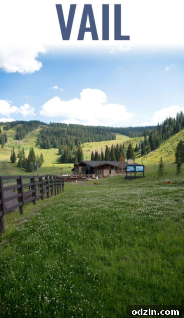 Colorado Trip - A slice of life post sharing all of our favorite spots from our trip to Colorado! #denver #vail #rockymountainnationalpark #redrocks | Littlespicejar.com