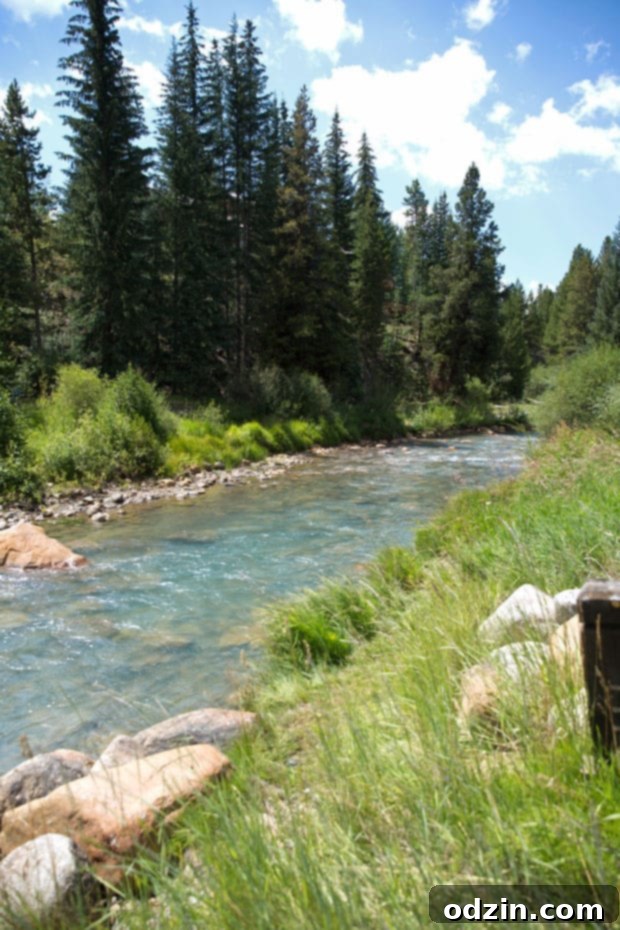 Colorado Trip - A slice of life post sharing all of our favorite spots from our trip to Colorado! #denver #vail #rockymountainnationalpark #redrocks | Littlespicejar.com