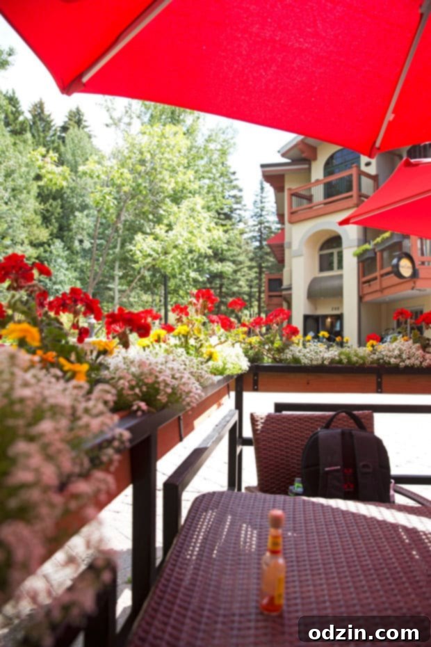 Colorado Trip - A slice of life post sharing all of our favorite spots from our trip to Colorado! #denver #vail #rockymountainnationalpark #redrocks | Littlespicejar.com