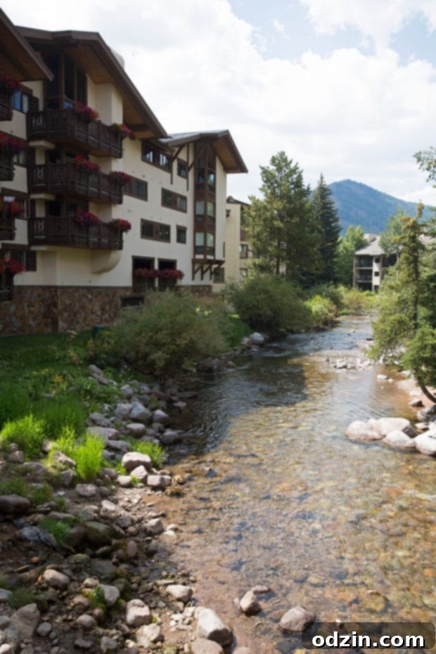 Colorado Trip - A slice of life post sharing all of our favorite spots from our trip to Colorado! #denver #vail #rockymountainnationalpark #redrocks | Littlespicejar.com