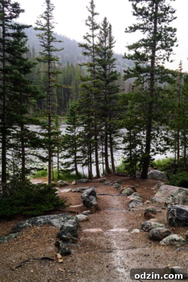 Colorado Trip - A slice of life post sharing all of our favorite spots from our trip to Colorado! #denver #vail #rockymountainnationalpark #redrocks | Littlespicejar.com