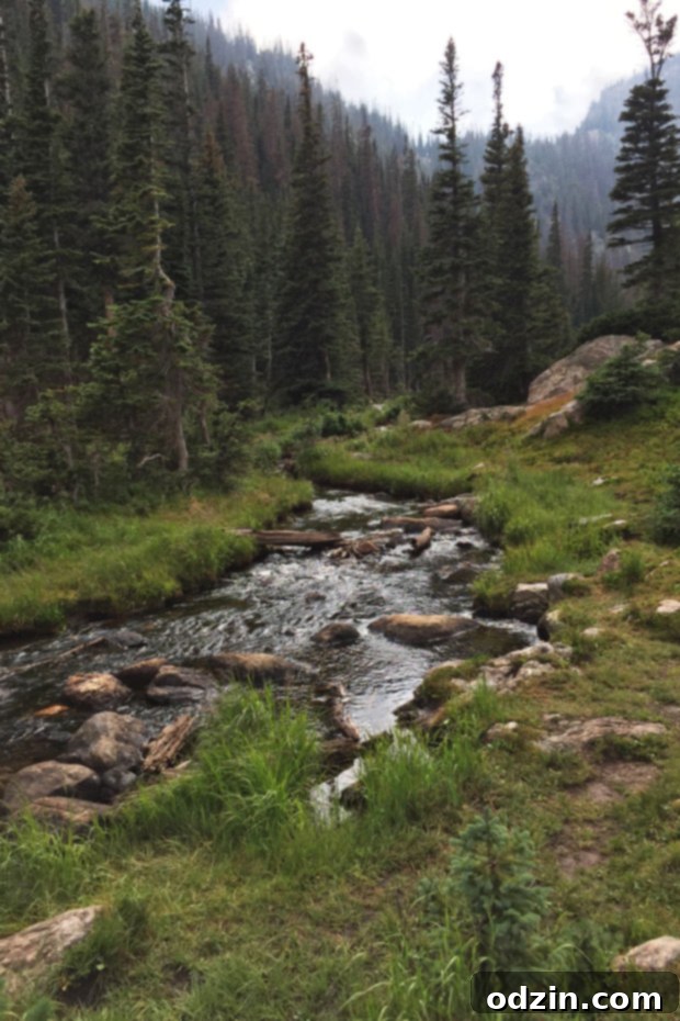 Colorado Trip - A slice of life post sharing all of our favorite spots from our trip to Colorado! #denver #vail #rockymountainnationalpark #redrocks | Littlespicejar.com