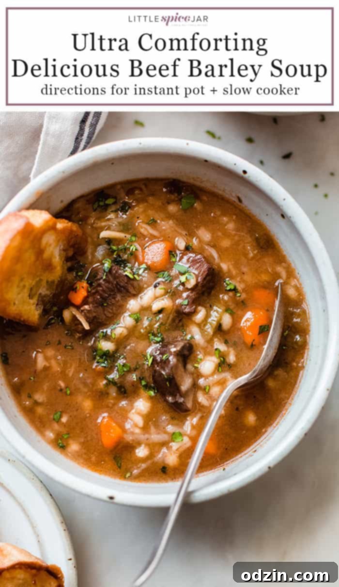 Hearty Beef Barley Soup