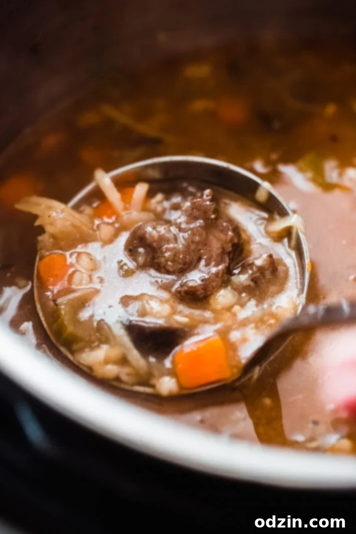ladleful of beef barley soup from instant pot