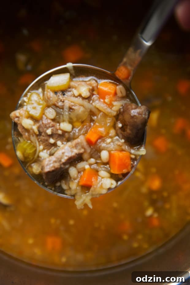 close up of ladleful of soup