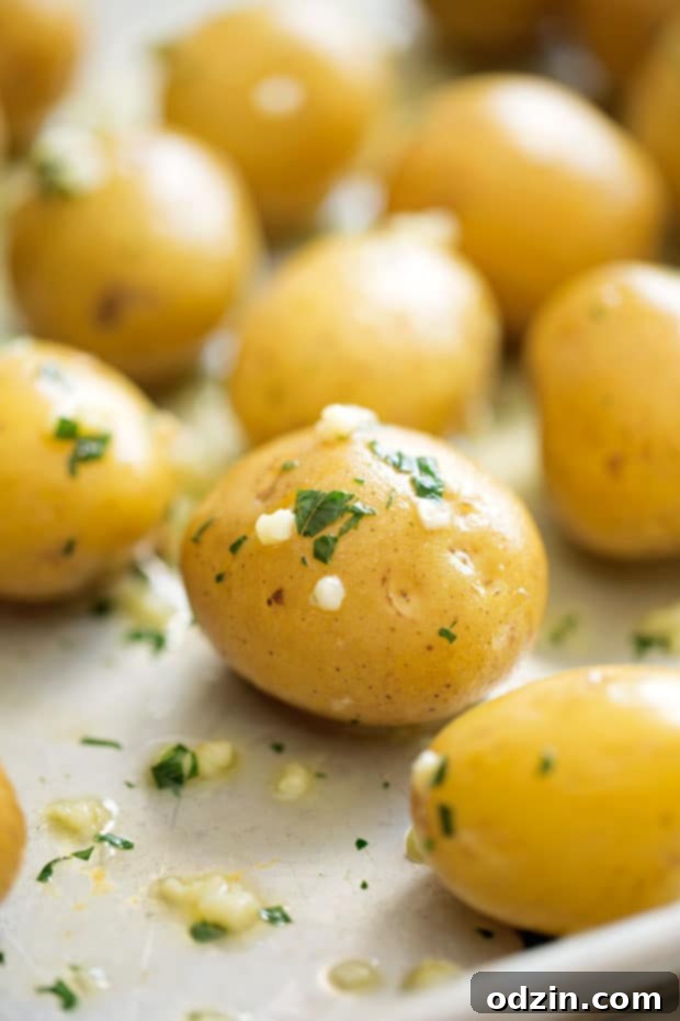 Parmesan Garlic Smashed Potatoes - an easy side dish or the perfect snack for football season! #smashedpotatoes #garlicsmashedpotatoes #potatoskins | Littlespicejar.com