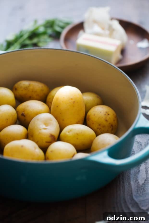 Parmesan Garlic Smashed Potatoes - an easy side dish or the perfect snack for football season! #smashedpotatoes #garlicsmashedpotatoes #potatoskins | Littlespicejar.com