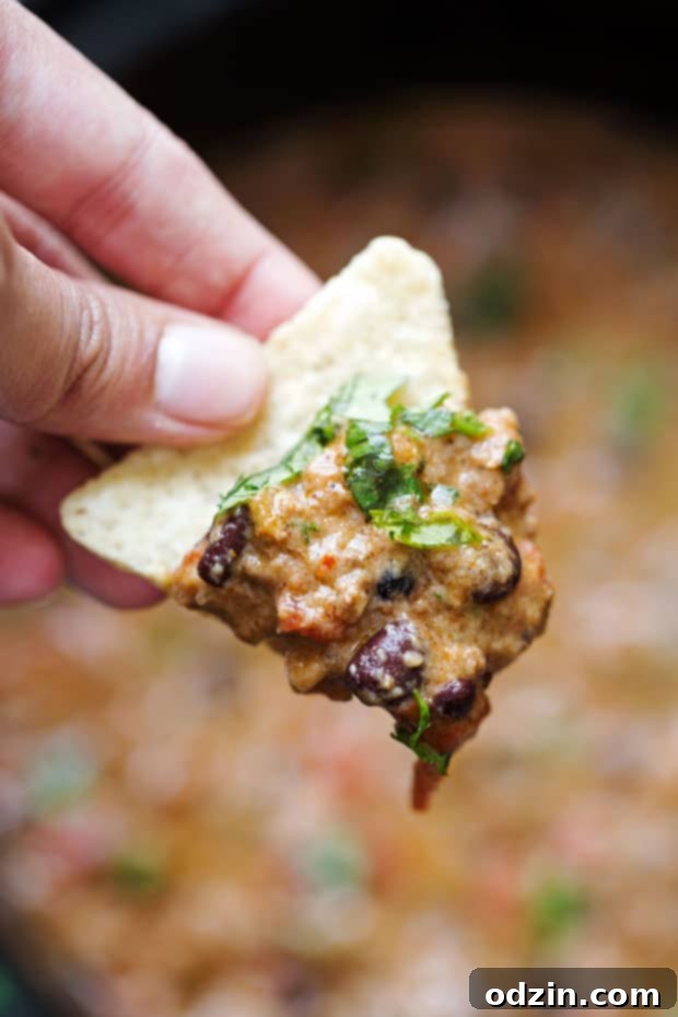 The BEST Cheesy Chili Dip - made with a homemade taco seasoning and NO Velveeta - just simple homemade cheese sauce! So good! #chilicheesedip #cheesychilidip #chilidip | Littlespicejar.com