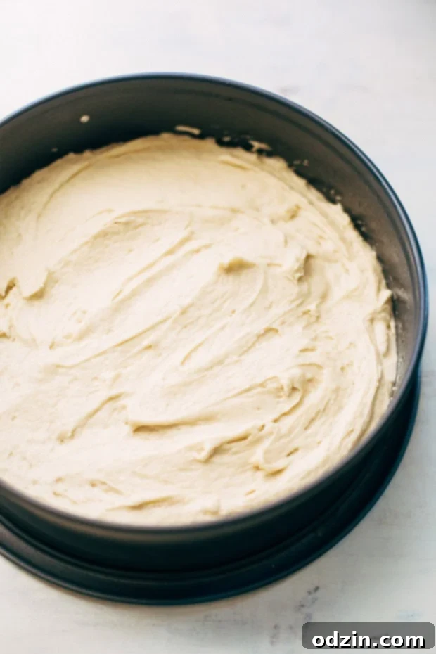 Cinnamon Apple Crumb Cake - A simple coffee cake topped with sliced apples and lots of jump lump crumbs. The perfect accompaniment to coffee of a crisp fall morning! #coffeecake #applecrumbcake #crumbcake | Littlespicejar.com Another close-up of Cinnamon Apple Crumb Cake, emphasizing the rustic charm of the topping.