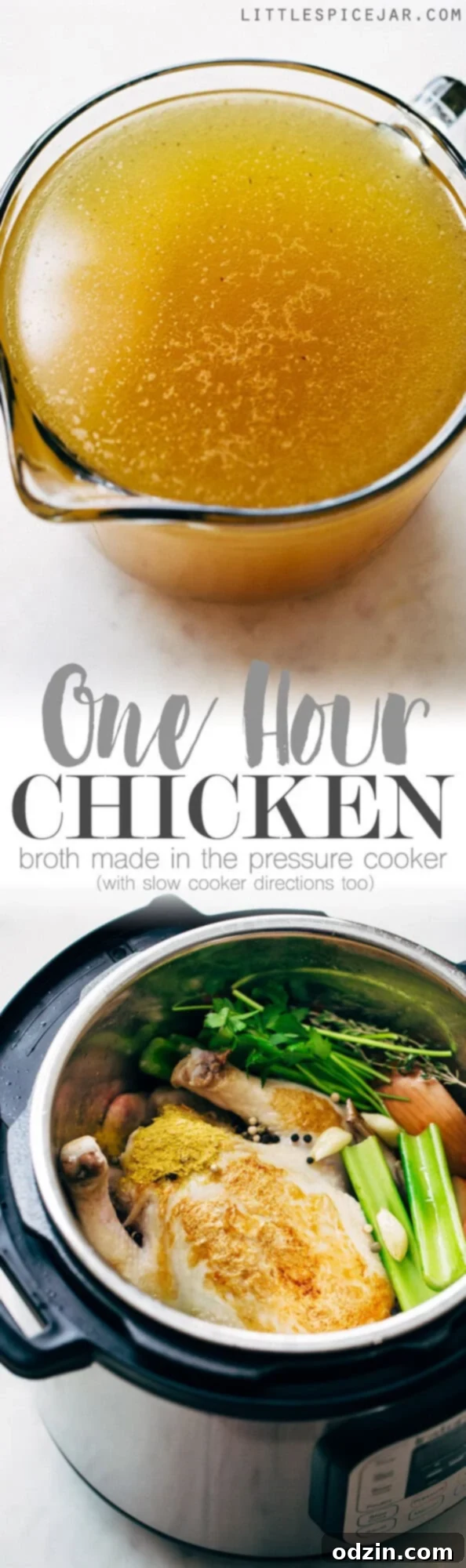 One-Hour Pressure Cooker Chicken Broth Tutorial Delicious Homemade Pressure Cooker Chicken Broth Recipe