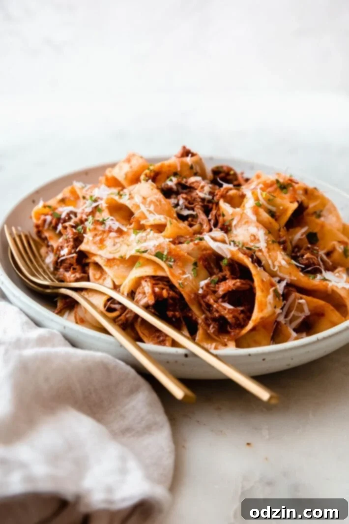 Close-up of hearty beef ragu lovingly tossed with broad pappardelle pasta strands.
