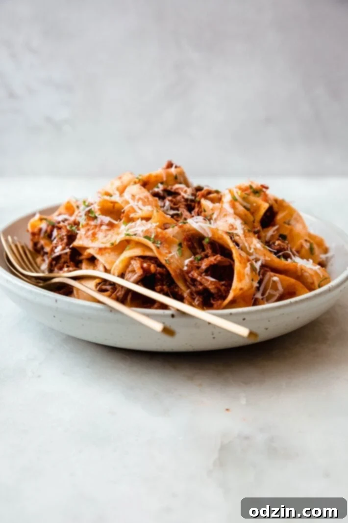 A rustic bowl filled with generous portions of pappardelle pasta and beef ragu, garnished and ready to eat.