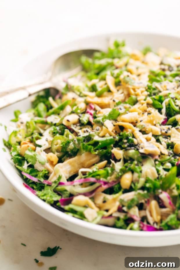 Appetizing bowl of Asian Kale and Shaved Brussels Sprout Salad with dressing