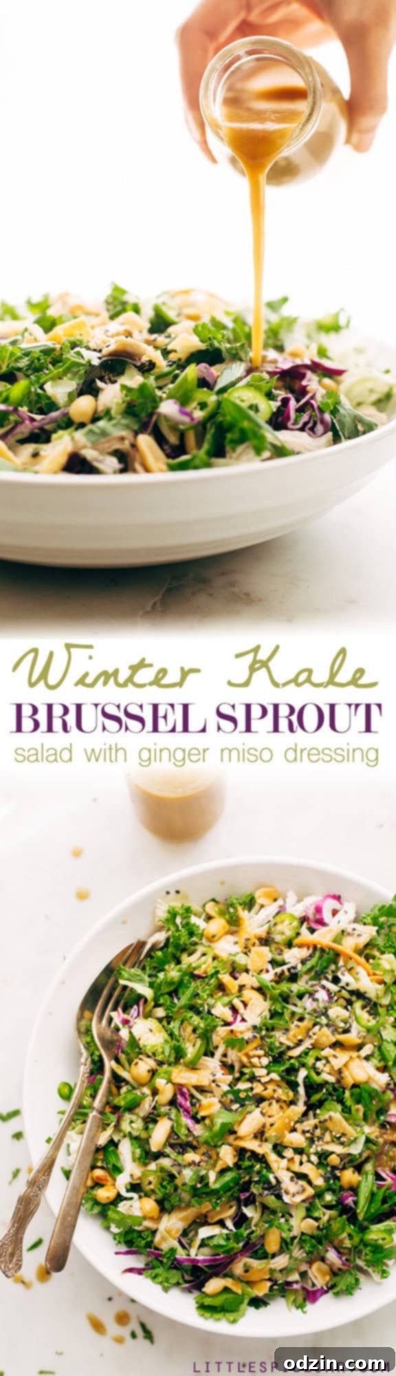 Full bowl of Asian Kale and Shaved Brussels Sprout Salad with dressing and toppings