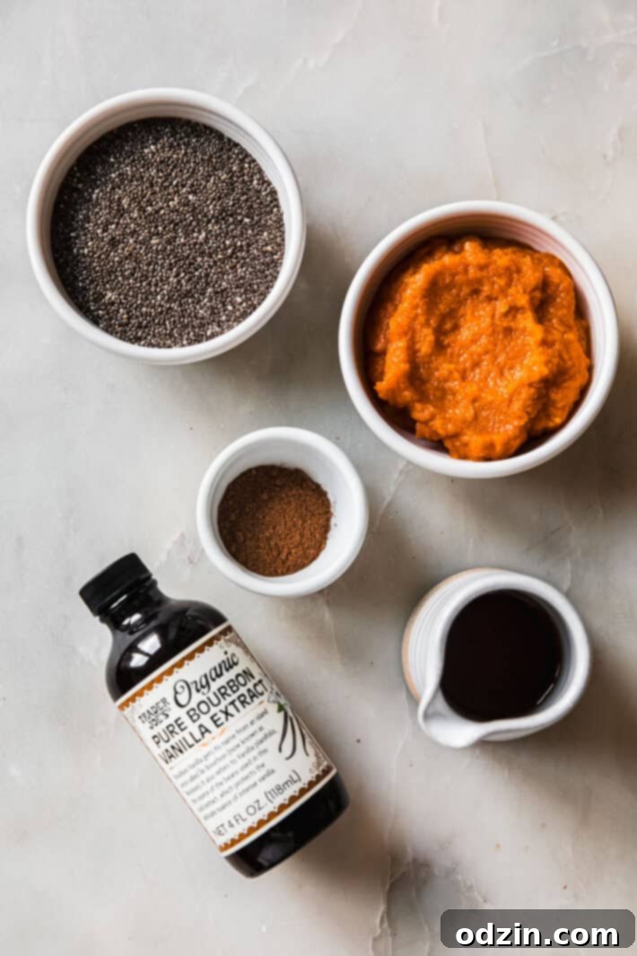 Fresh ingredients for pumpkin chia seed pudding laid out on a marble surface: chia seeds, pumpkin puree, pumpkin pie spice, maple syrup, and vanilla extract.