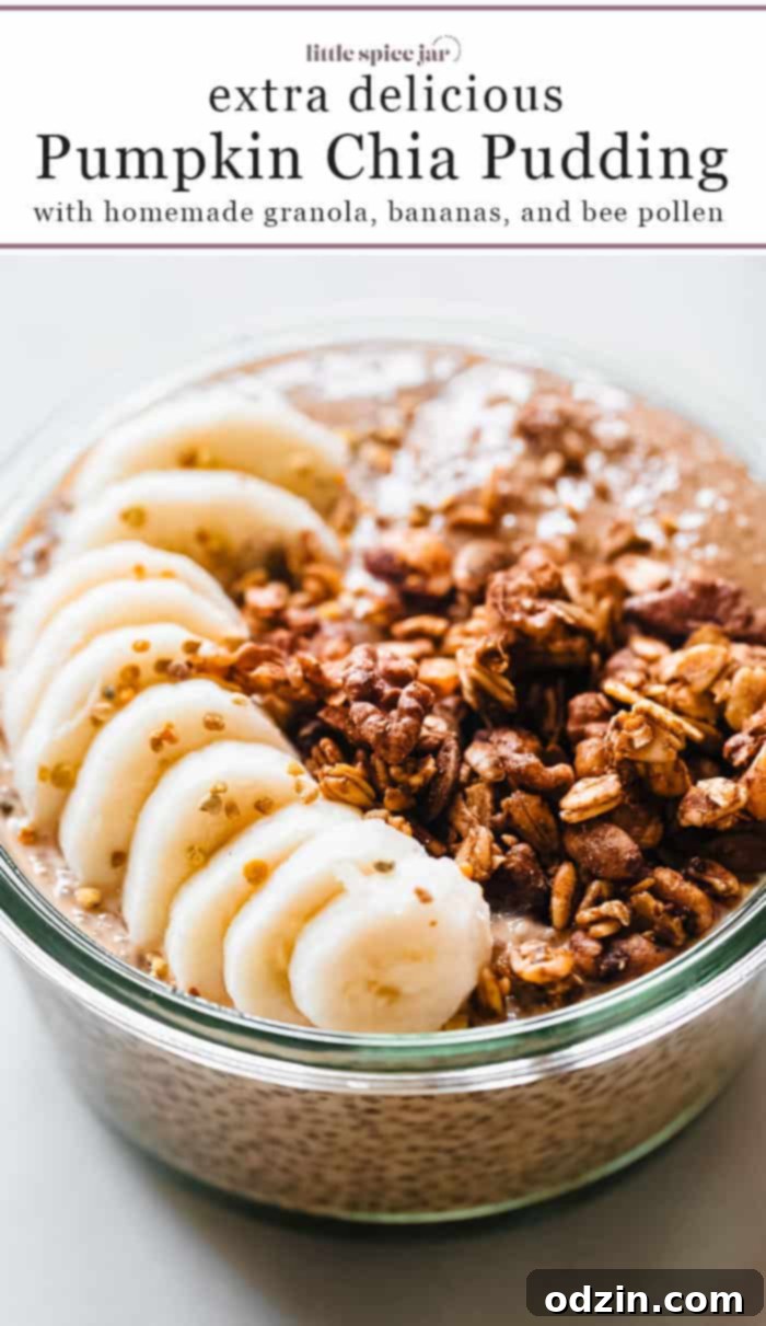 A small image of pumpkin chia seed pudding in a glass bowl, garnished with banana slices and granola, for Pinterest sharing.