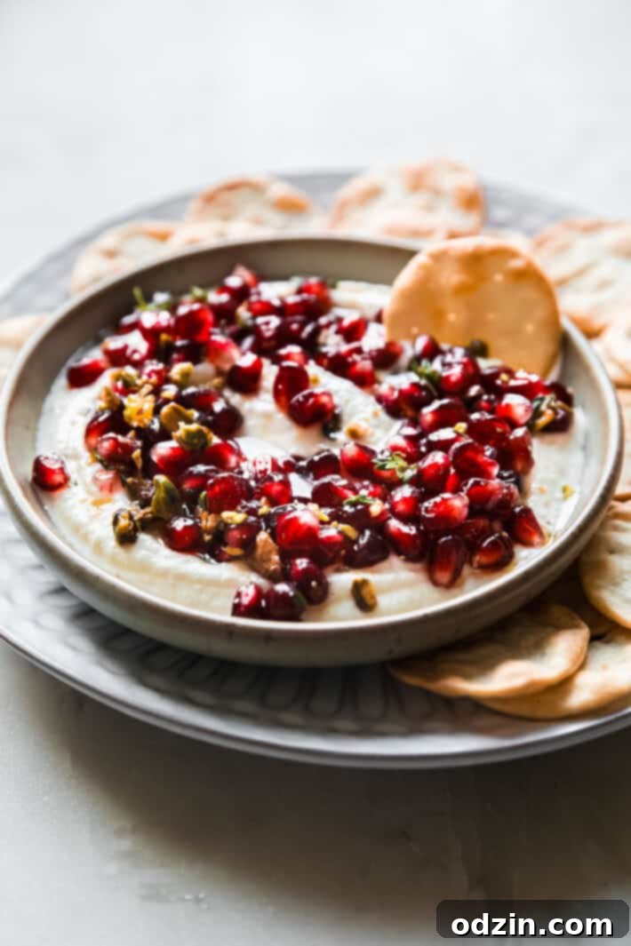 Image showcasing a cracker being dipped into a bowl of whipped ricotta, highlighting the creamy texture and inviting appeal of the dip.