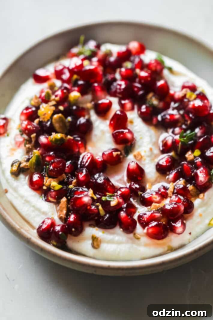 Overhead shot of the finished whipped ricotta dip, highlighting the vibrant colors and textures of the topping, making it visually appealing.